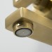 Душевая система WasserKRAFT Aisch A15501 золото матовое